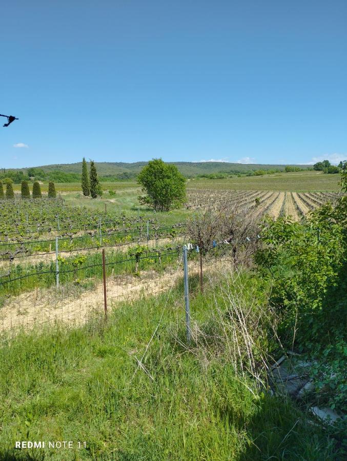 Chambre D Hotes En Provence, Au Pied Du Luberon, Les Coquelicots La Tour-d'Aigues Ngoại thất bức ảnh