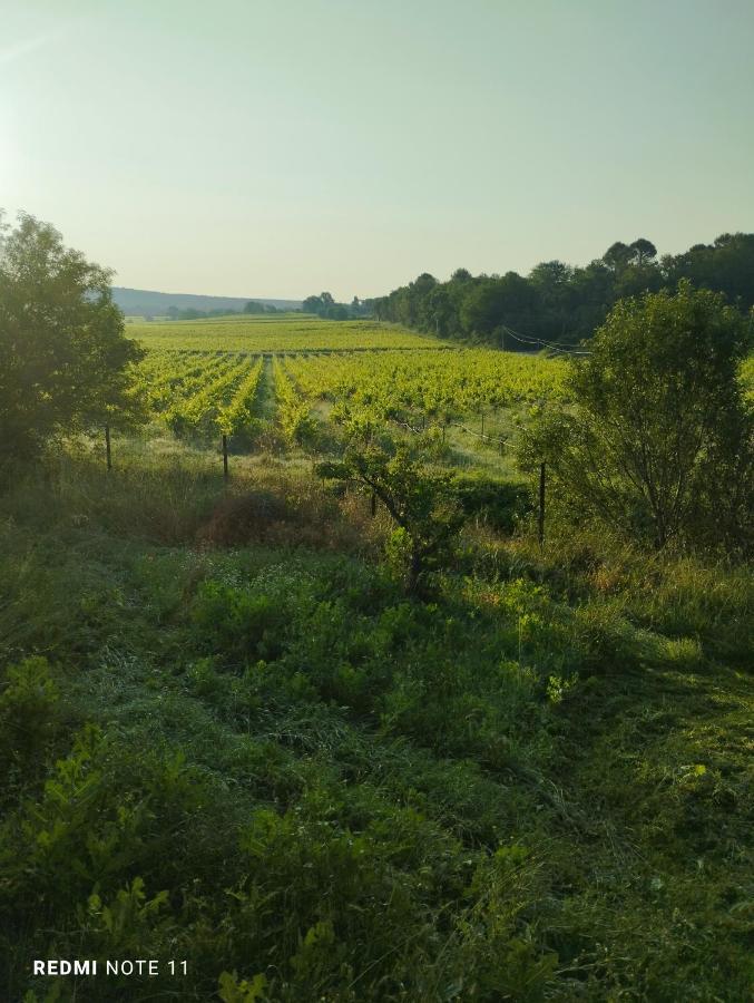 Chambre D Hotes En Provence, Au Pied Du Luberon, Les Coquelicots La Tour-d'Aigues Ngoại thất bức ảnh